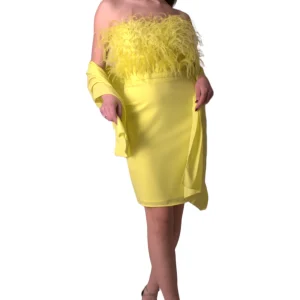 Nuova Collezione Abito in cady con piume GLO'