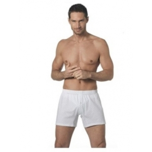 Boxer Nottingham BX665 maxi